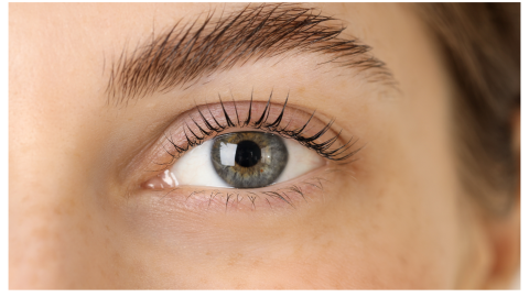 Maquillar cejas