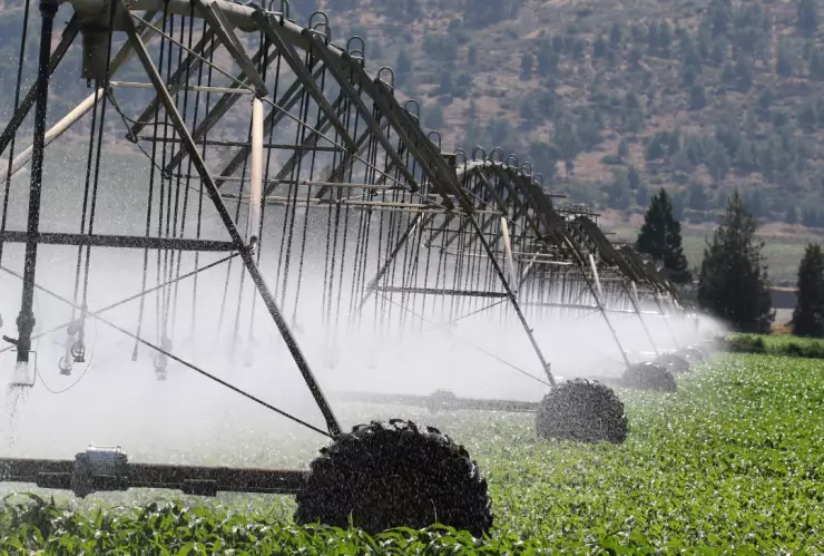 Tratado de Aguas 1944