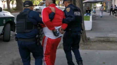 persecución policía mordida perro detenidos