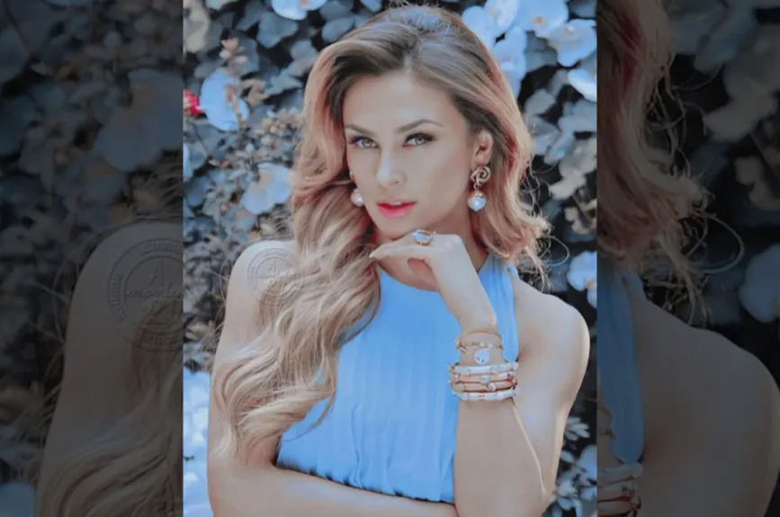 Aracely seria.jpg