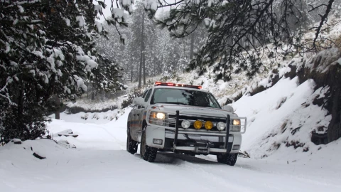 Parque Nacional Nevado de Colima