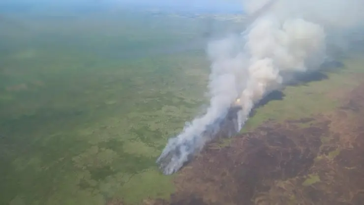 Incendio en Biosfera