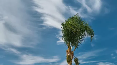 Vientos fuertes en Mexicali