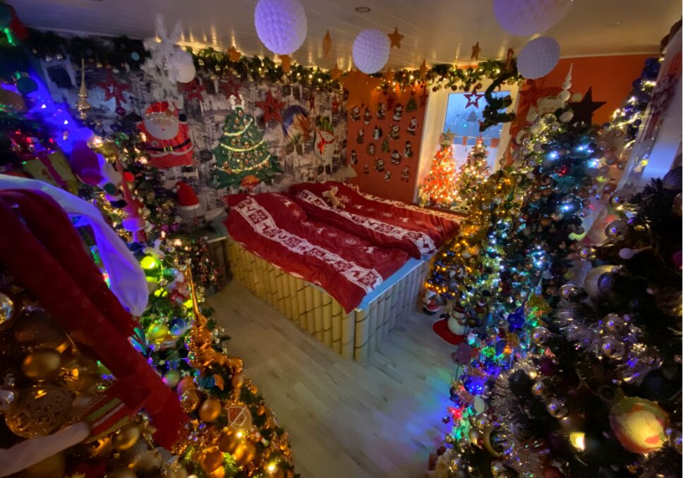 casa arboles de navidad