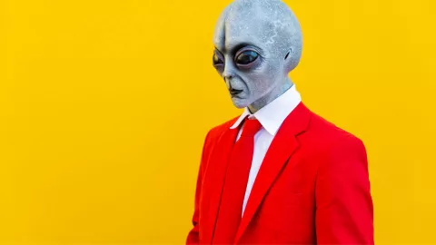 que son los criptoterrestres