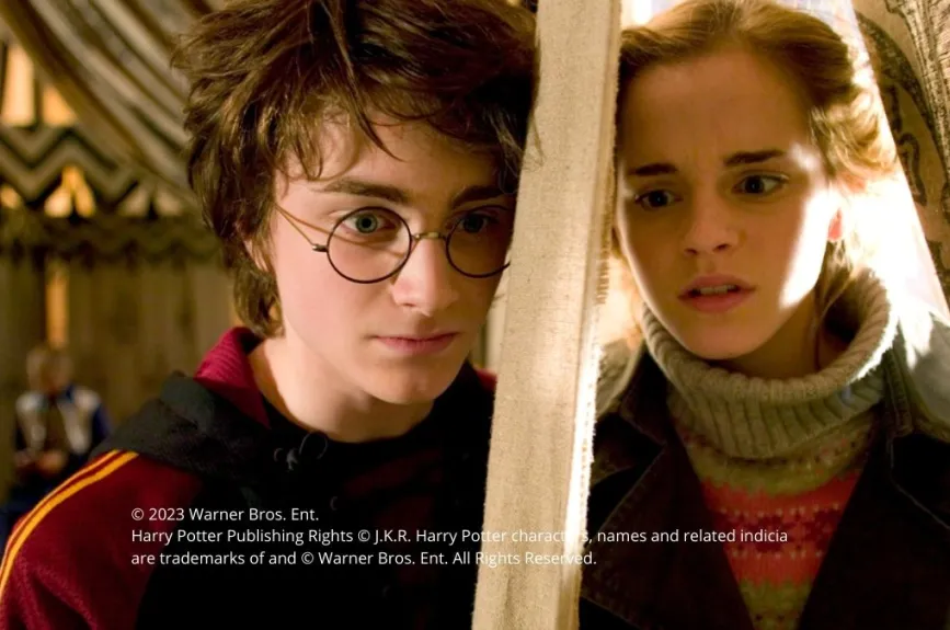 Harry Potter y Germione