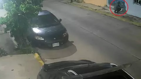 Robaperros Coatzacoalcos.