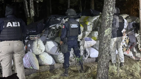 INCAUTAN MARIHUANA CASAS GRANDES.jpg