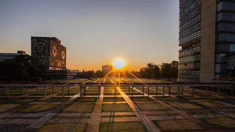 La UNAM ofrece un gran abanico de carreras para los nuevos estudiantes que ingresarán en 2024