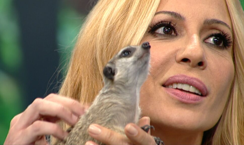 Marta Sánchez conoce animales salvajes en El Hormiguero