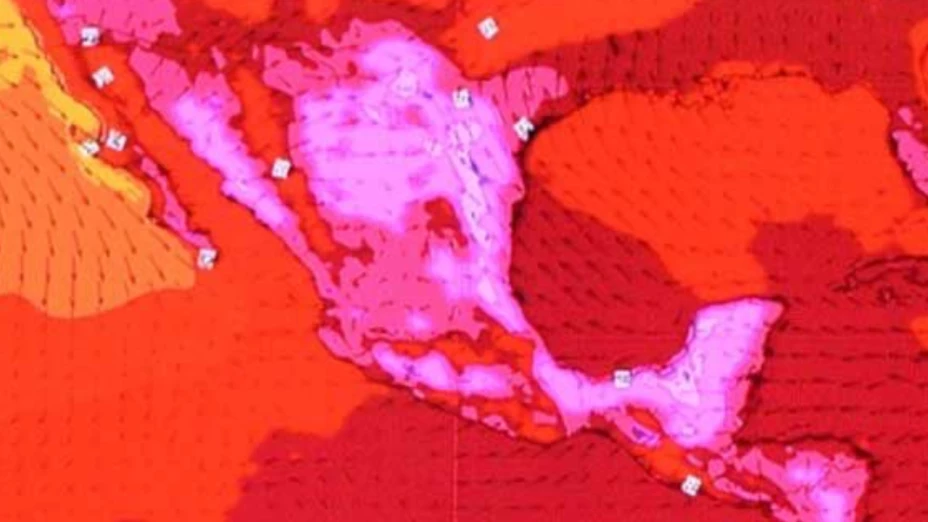 blockquote class=tiktok-embed cite=httpswww.tiktok.com@karolinageitsvideo7313258300907343150 data-video-id=7313258300907343150 style=max-width 605px;min-width 325px; section a target= - 2024-05-22T164934.787.png