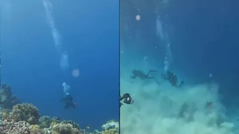 Cómo se ve un sismo en el fondo del mar