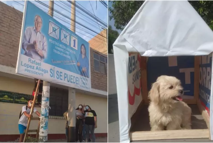 Jóvenes convierten propaganda electoral en casitas para perritos callejeros