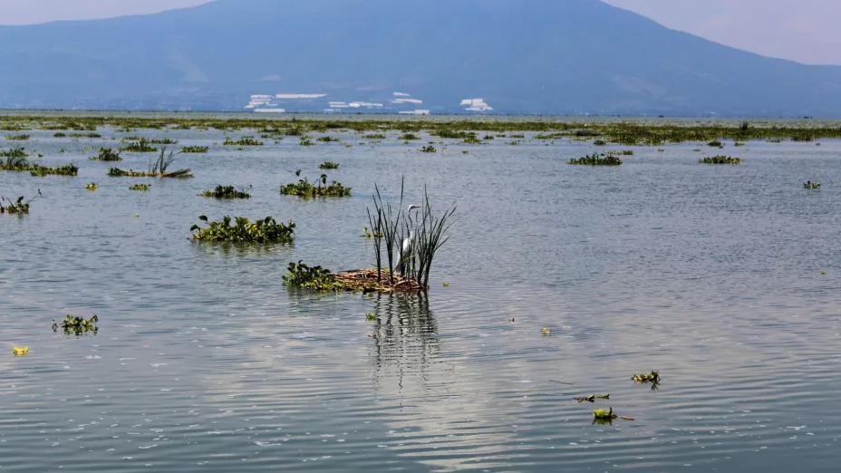 ¿Baja histórica? Falta de lluvias generan cambio drástico en el nivel del Lago de Chapala HOY 29 de noviembre