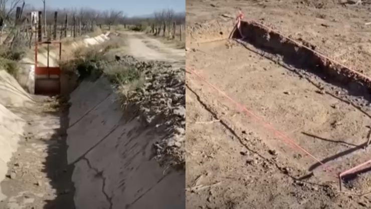 Encuentran restos de 170 personas en campos de exterminio de Coahuila