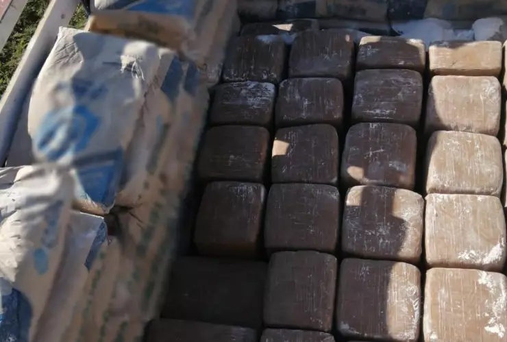 Decomisan marihuana en Yucatán.jpeg