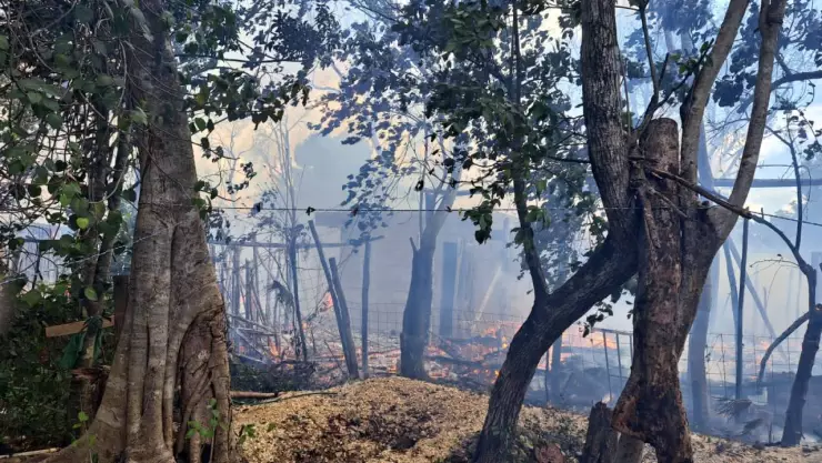 Autoridades controlan incendio de cabañas en Tulum