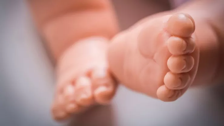 Localizan feto en carretea de basura en Tultitlán, Edomex