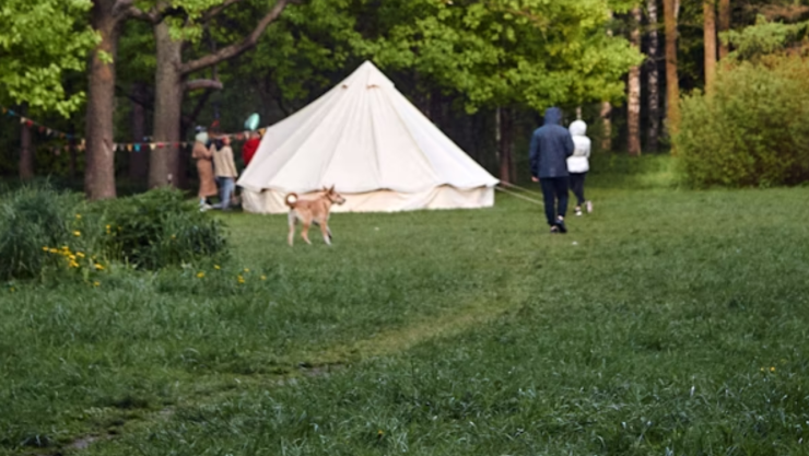 New Project - 2025-10-19T151445.751.png