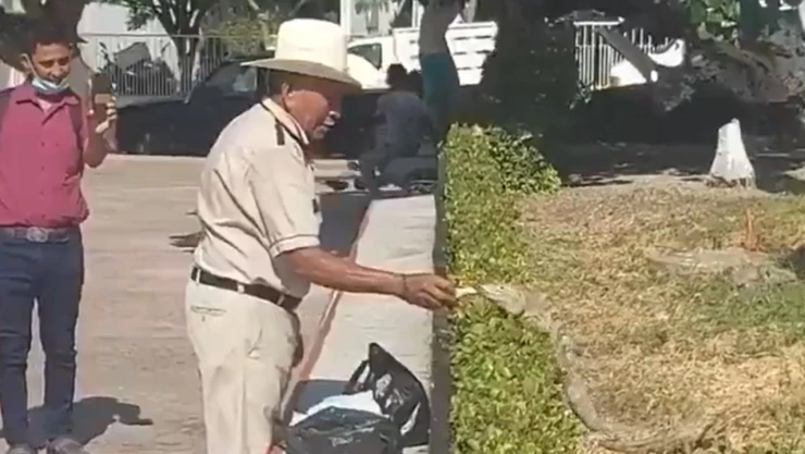Video hombre alimenta iguanas tortillas parque tonalá chiapas viral