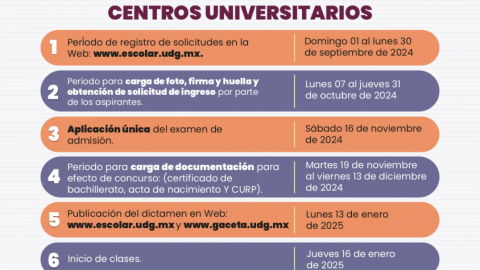 Examen de admisión UDG 2025 - B