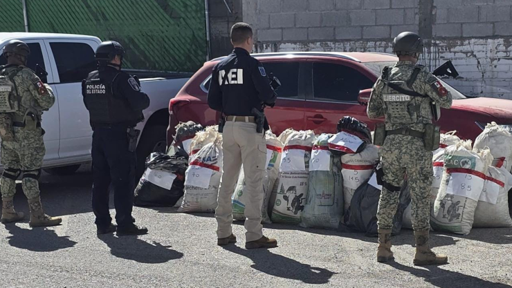 MARIHUANA BOCOYNA.jpg