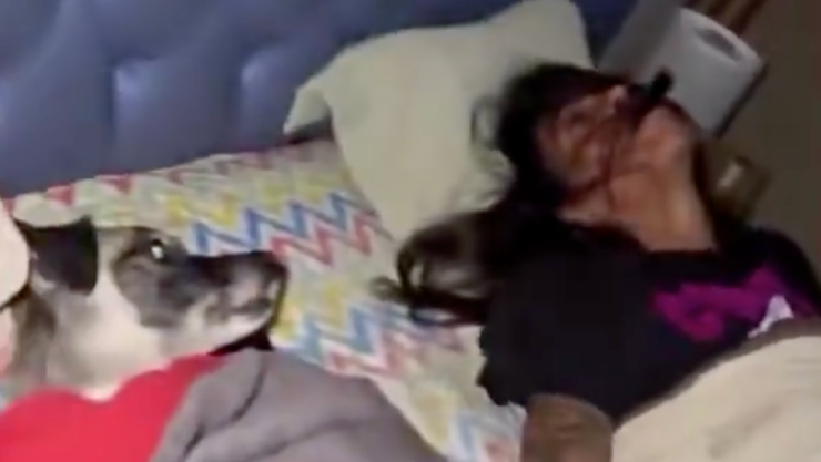 Mujer graba a su esposo mientras dormía.