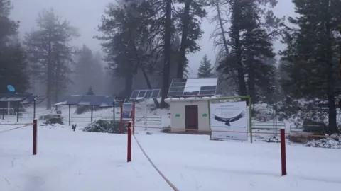 Primera nevada en San Pedro Mártir