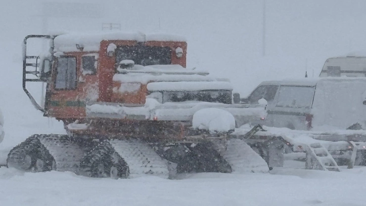 avalancha california 1