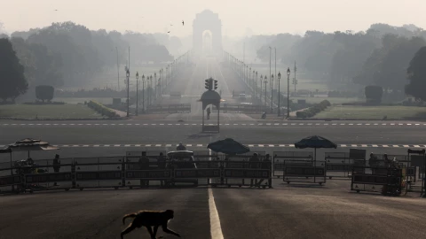 FILE PHOTO: A monkey crosses the road near India’s Presidential Palace during a 14-hour long curfew to limit the spreading of coronavirus disease (COVID-19) in the country, New Delhi