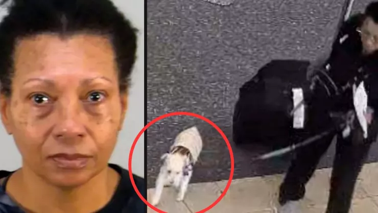 Mujer ahogó a su propio perro en Aeropuerto de Orlando