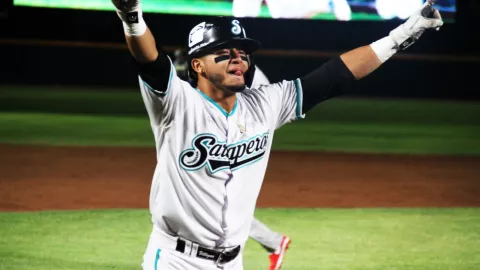 Fernando Villegas MVP LMB