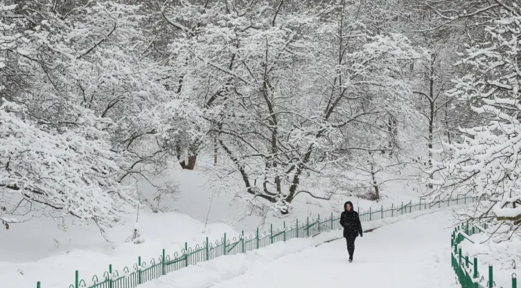 nieve