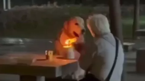 Texto del párrafo - 2025-05-13T110800.040.jpg