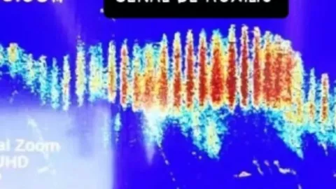 Teoría del boque oscuro