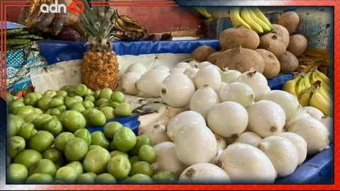 canasta básica 24 productos