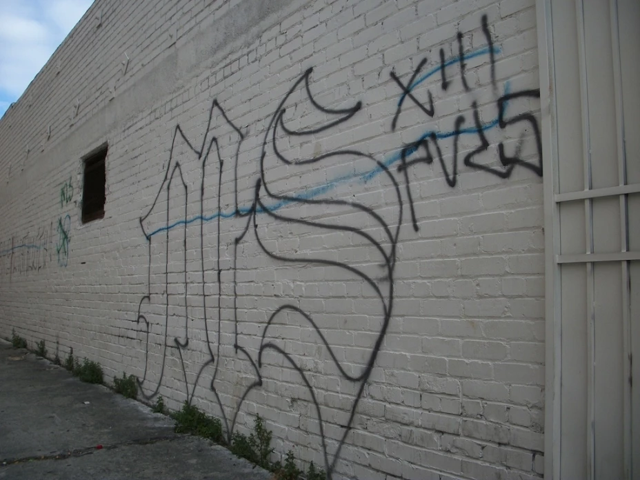 La Mara Salvatrucha,máxima expresión de la violencia en Honduras