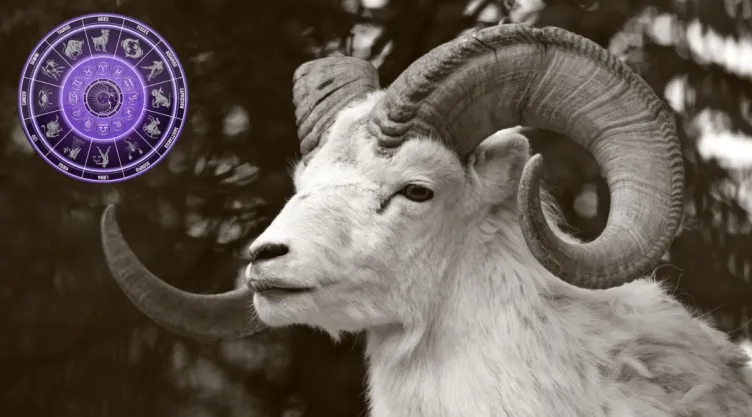 Horóscopo mensual Aries ¿Qué le depara a tu signo en septiembre 2024?