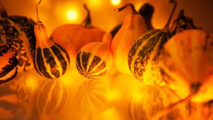 Planes otoñales para disfrutar en Baja California.jpg