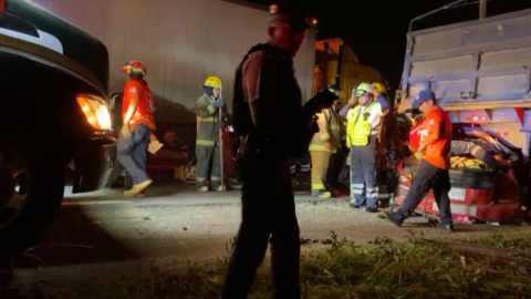 carambola en Minatitlan_1