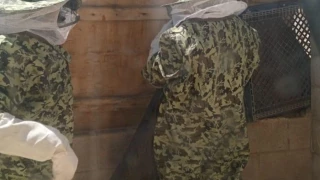 WhatsApp Image 2025-04-09 at 5.44.17 PM.jpeg