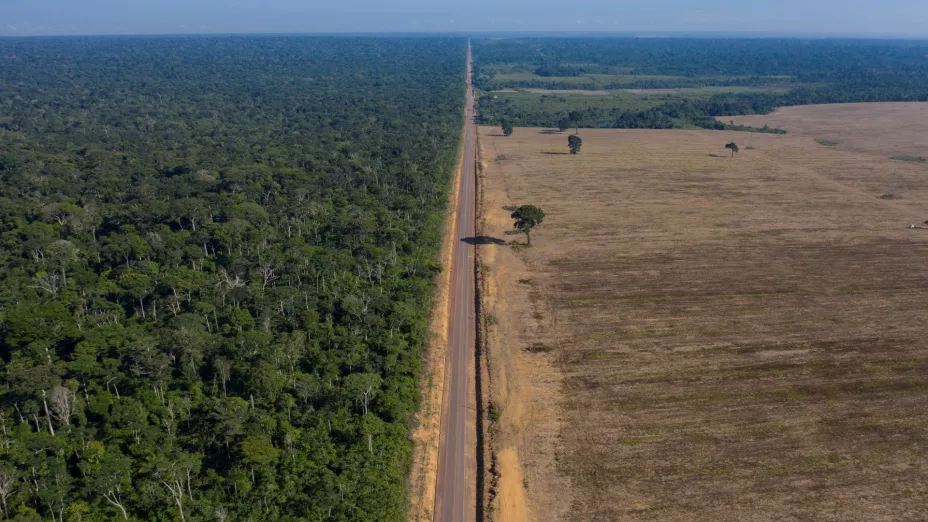 Amazonas_AP.jpg