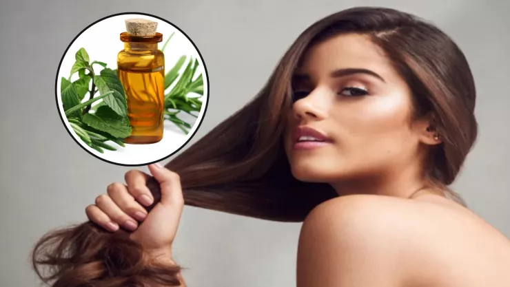 El aceite de romero: los secretos de sus beneficios para el cabello