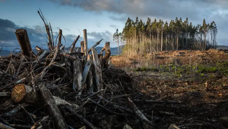 ¿Qué es el cambio climático? Aumentan las preocupaciones en la Tierra