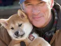 Famosos con un Hachiko en su vida (16).jpg