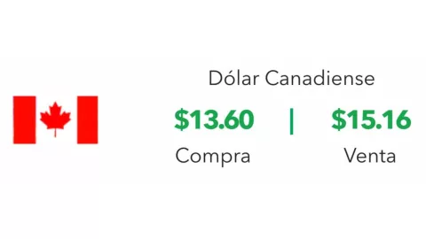 Tipo de cambio: Precio del dólar hoy 5 de septiembre 2024 en México