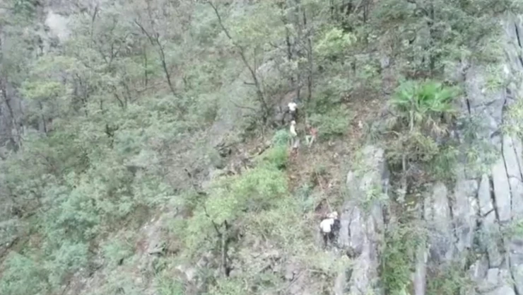 RESCATECERROMONTERREY.jpg