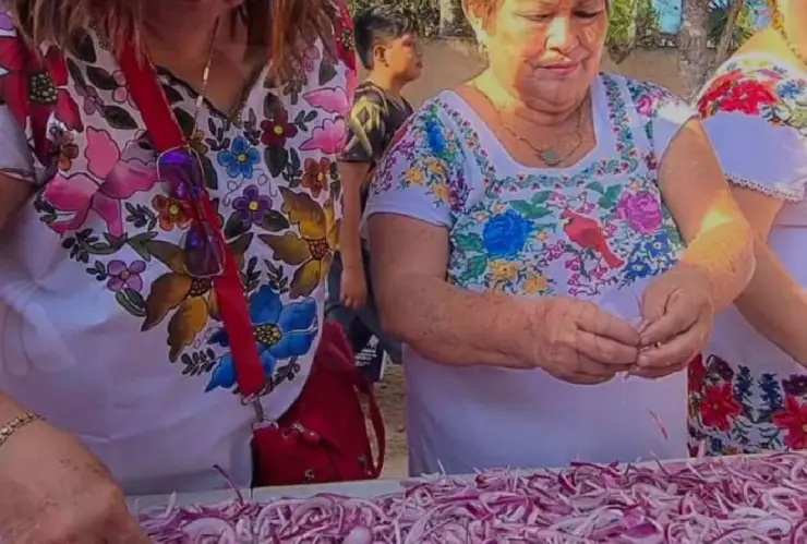 FOTOS_ Habitantes de Chumayel continúan con la tradición milenaria Dzan Cebolla