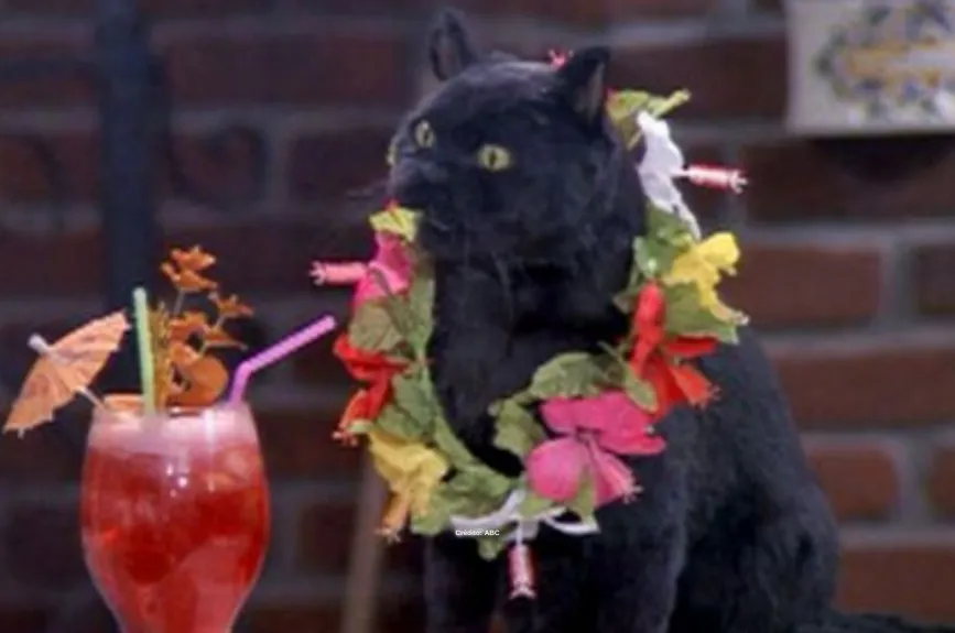 salem-saberhagen-sabrina-la-bruja-adolescente