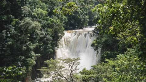 Cascada El Salto Chiapas